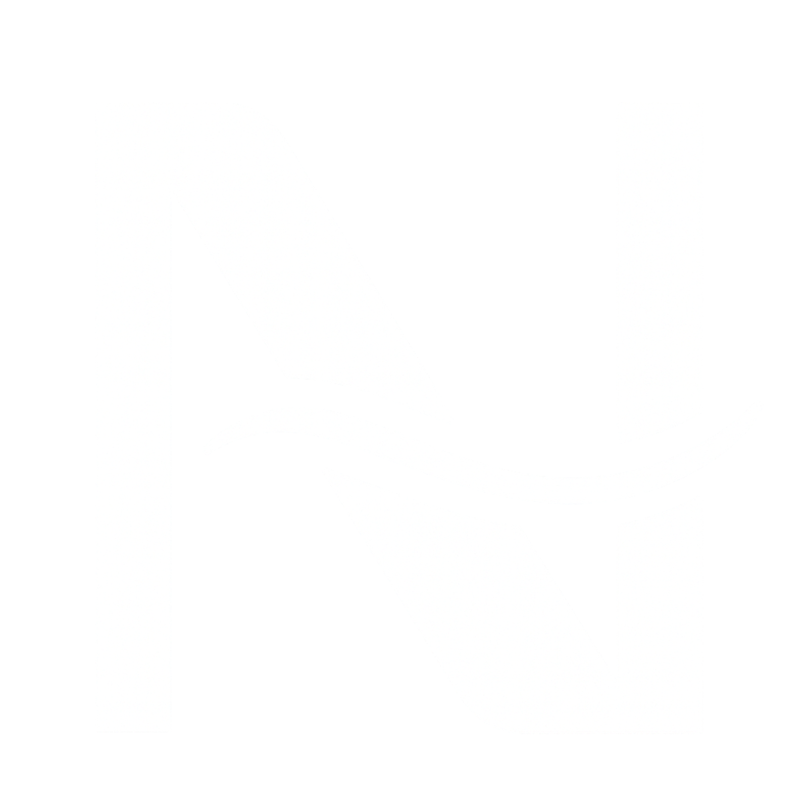 Nit